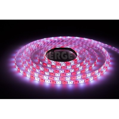 ECOLIGHT LED pásek - RGB+CW - 2,5m - 60LED/m - 14,4W/m - 1500Lm - IP20 - SADA