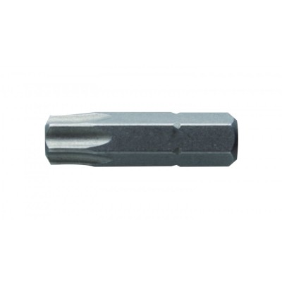 Šroubovací bity (koncovky) TORX 40 25 mm, S2, blistr 2 ks