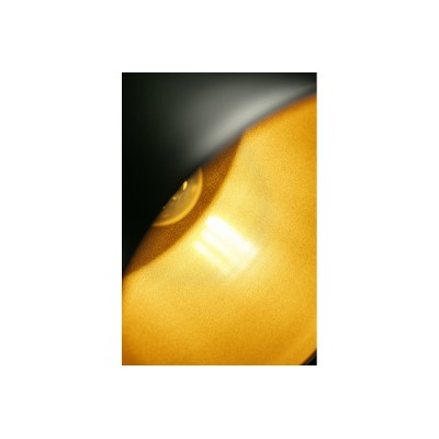 Stropní svítidlo GOA 3512, AC 220–240 V, 50/60 Hz, 1*E27, IP20, prům. 32 cm, jednoduché, černo/zlaté