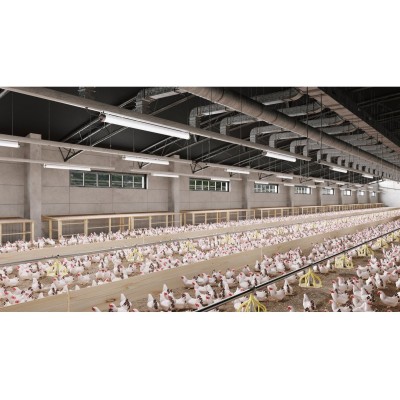 Hermetické svítidlo FARM, LED, 50W, 7500lm, 4000K, AC220-240V, IP65, IK08, PMMA